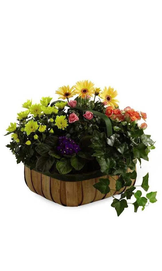 The Forever Blooms Basket Planter
