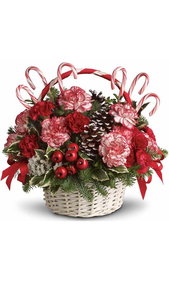 The Candy Cane Everyday Bouquet
