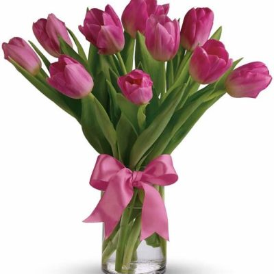 Spring Pink Tulips AMA