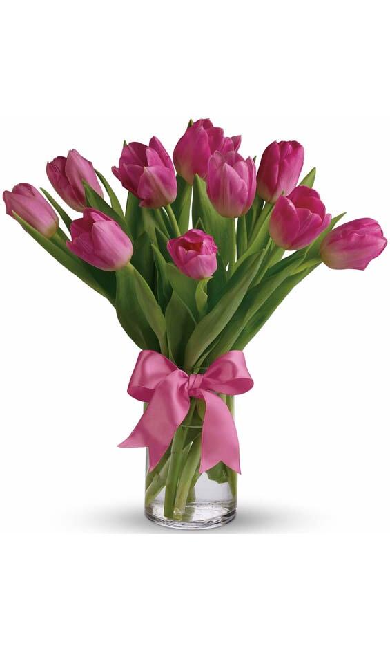 Spring Pink Tulips AMA