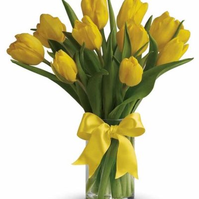Spring Yellow Tulips