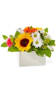Sun Drenched Blooms Box
