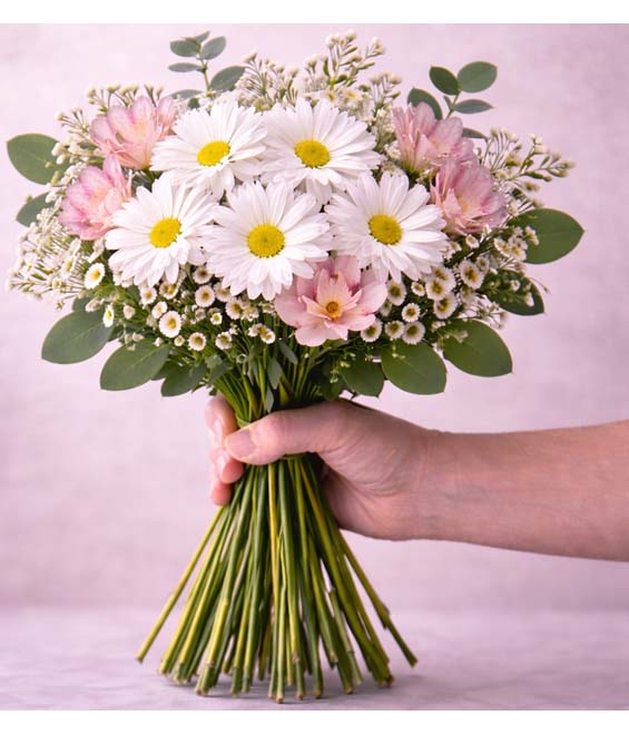 Daisy Hand-Tied Bouquet